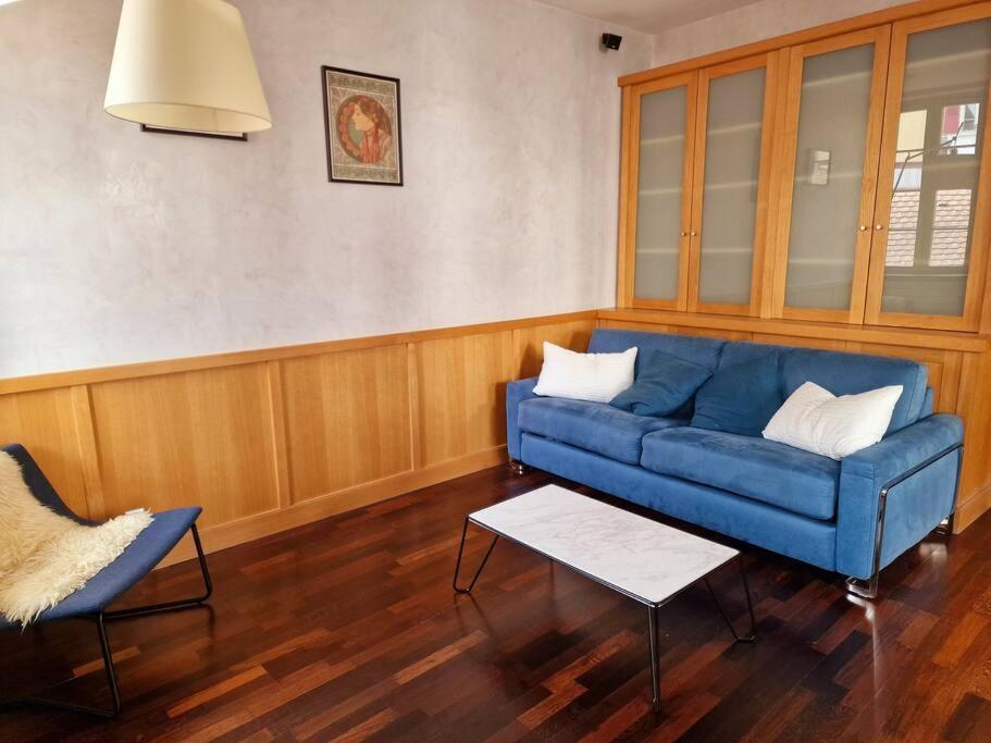Appartement Annecy Centre Historique Parking Inclus エクステリア 写真