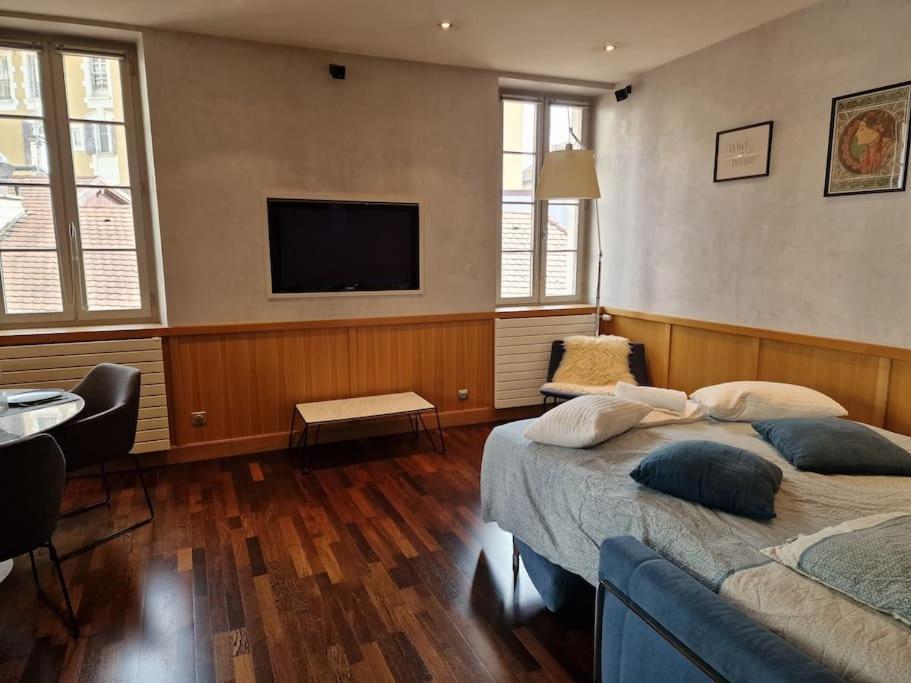 Appartement Annecy Centre Historique Parking Inclus エクステリア 写真